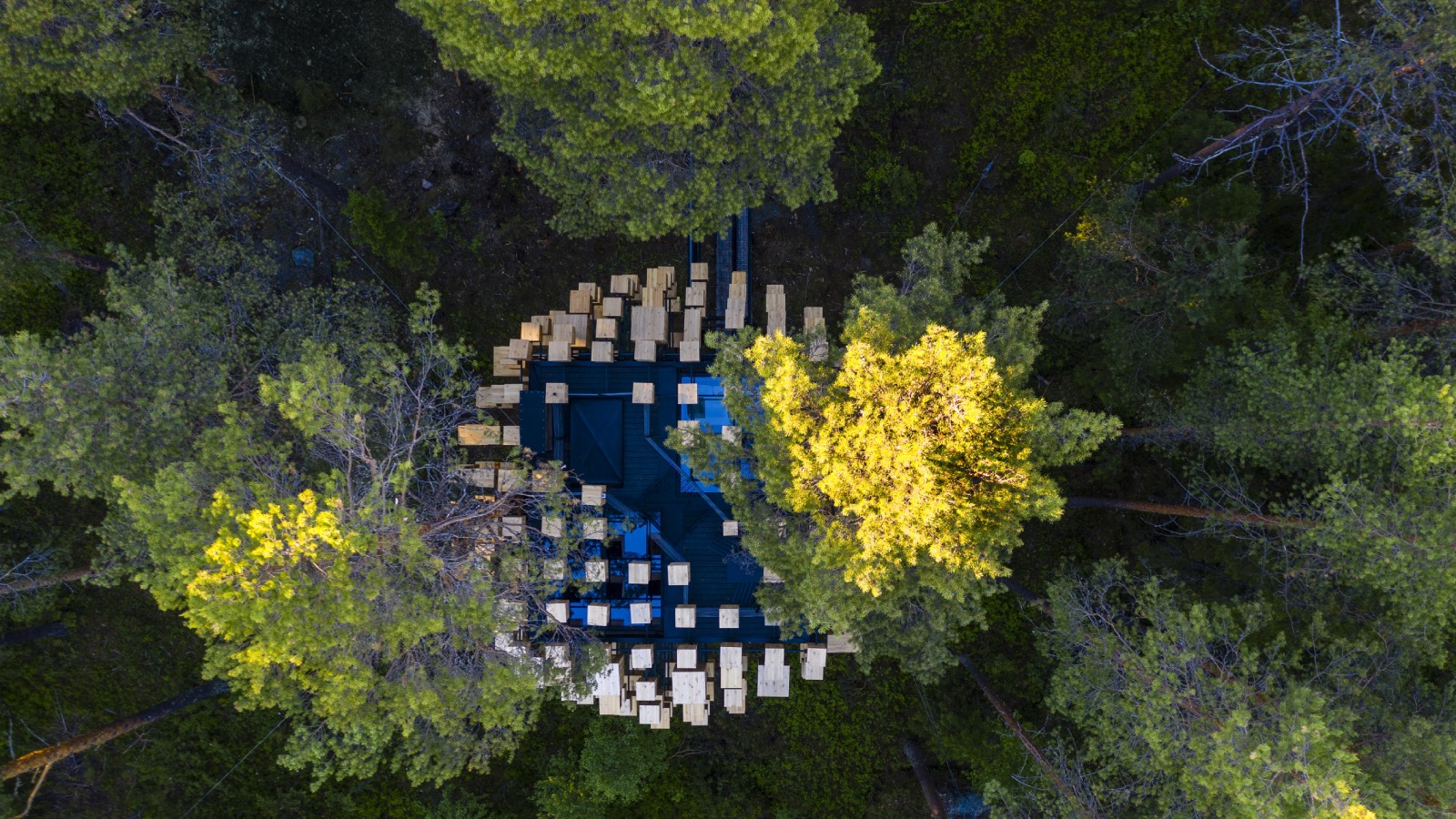 Los visitantes tienen acceso a una terraza en la azotea, cerca de las copas de los árboles, que ofrece unas vistas de 360 grados del bosque. - imagen 1