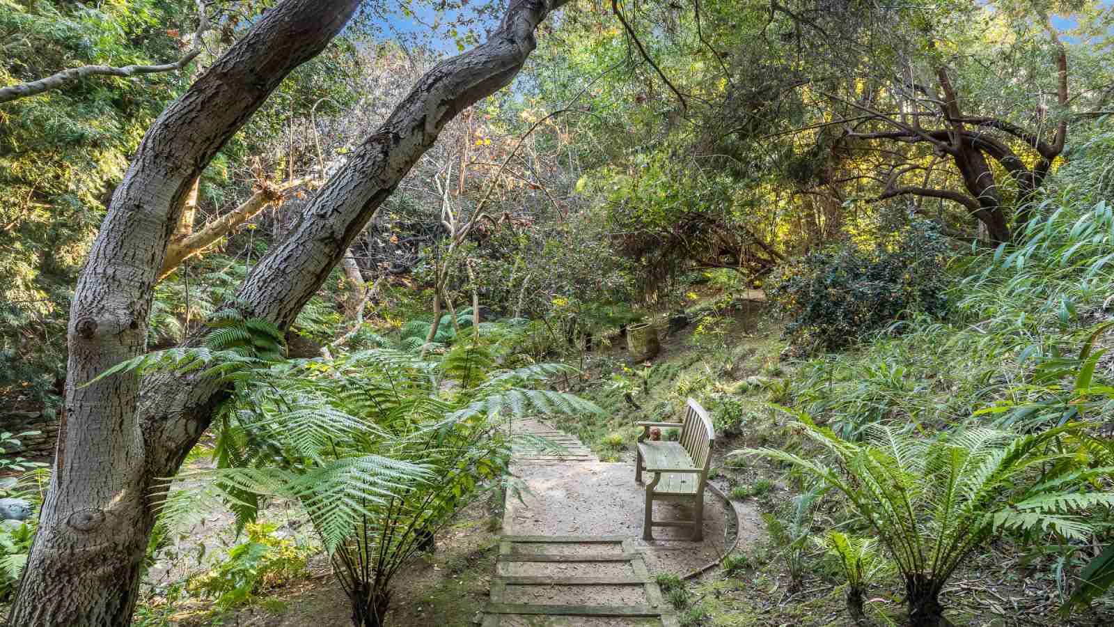 Camino de piedra que recorre el jardín y conecta la casa con la alejada zona de meditación. - imagen 6