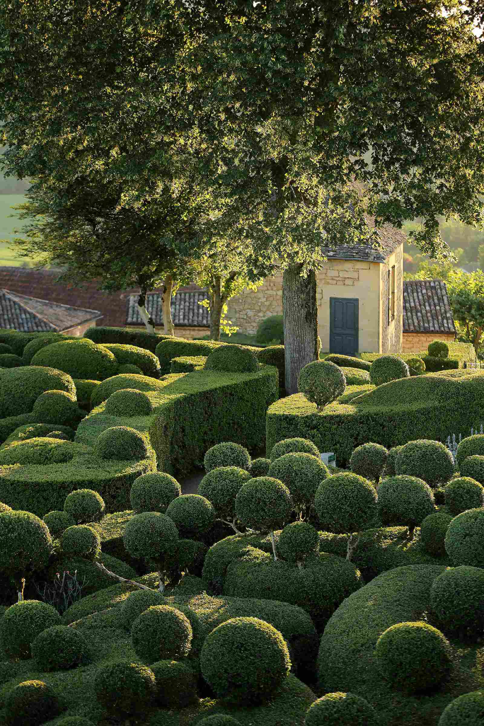 Los jardines de Marqueyssac, Vézac, Francia. Obra de Julien de Cerval. - imagen 4