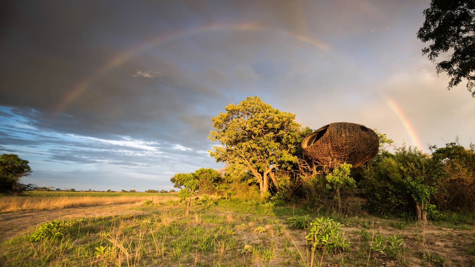 Dormir en un nido de pájaros, todo es posible en Zambia