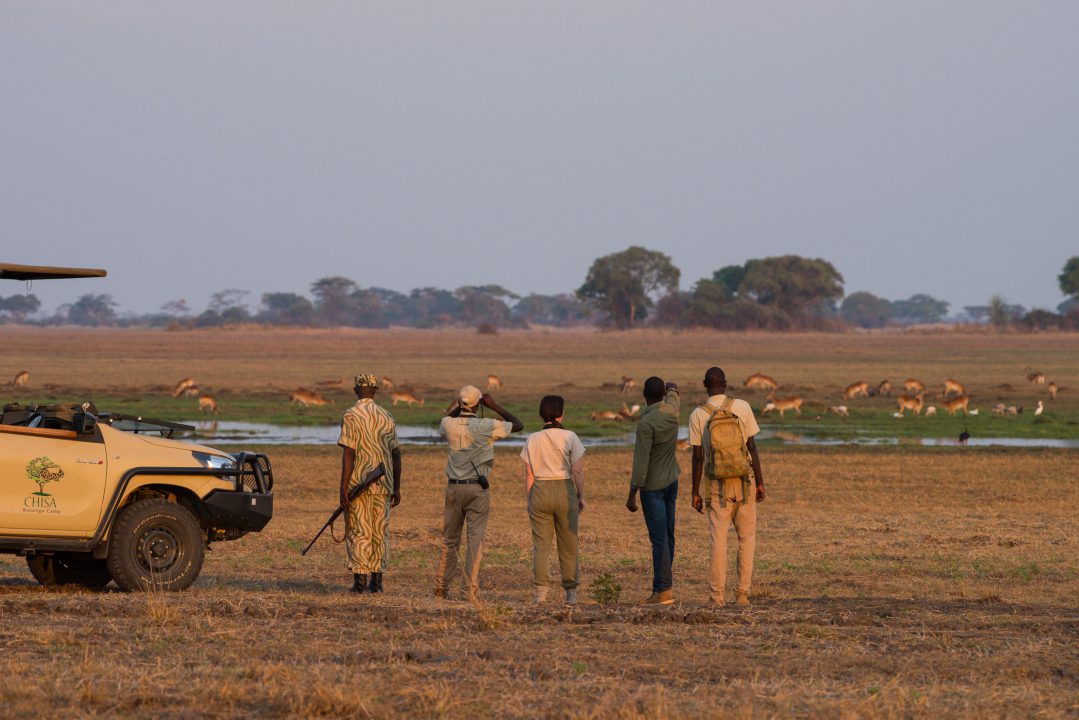 Imagen del safari silencioso en el campamento Chisa Busanga de Zambia