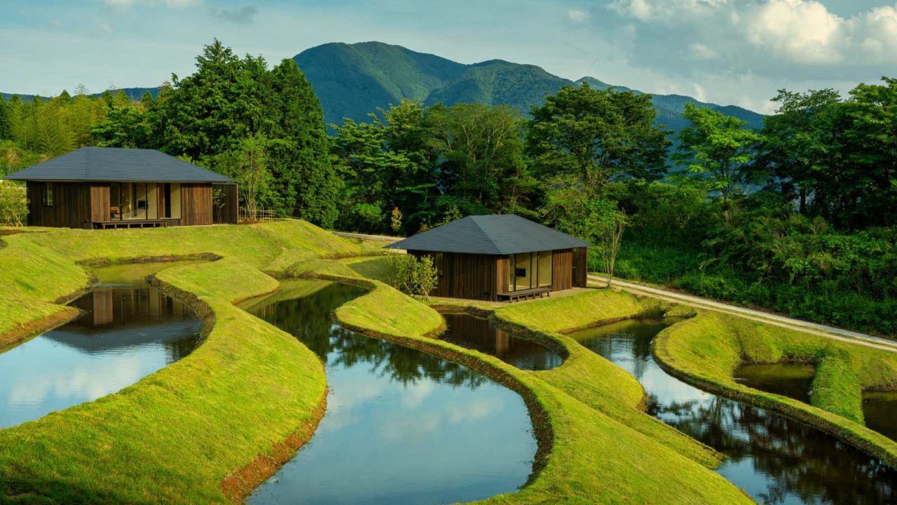 Foto paisaje de arrozales en terrazas