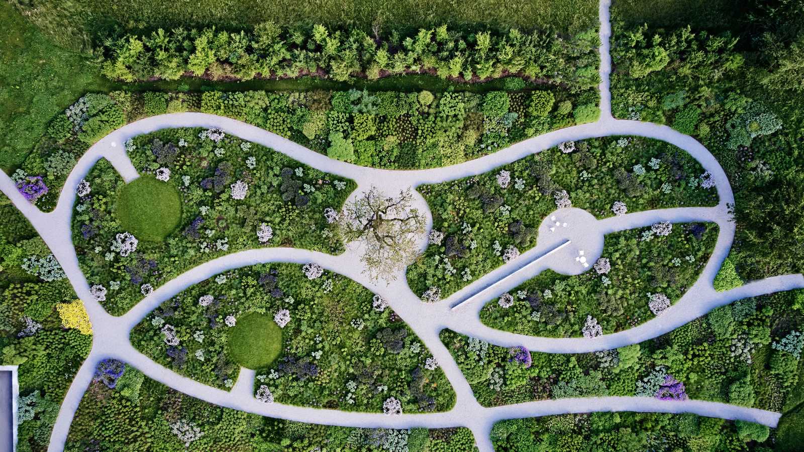 Oudolf Garten, proyecto de Piet Oudolf de 2020
en el Vitra Campus. Fotografía: Dejan Jovanovic. - imagen 2