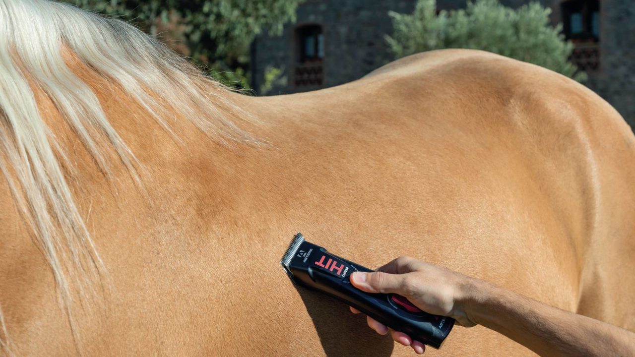 Hit, de Artero, es una esquiladora eléctrica específica para el caballo. Cuesta 365,41 euros.