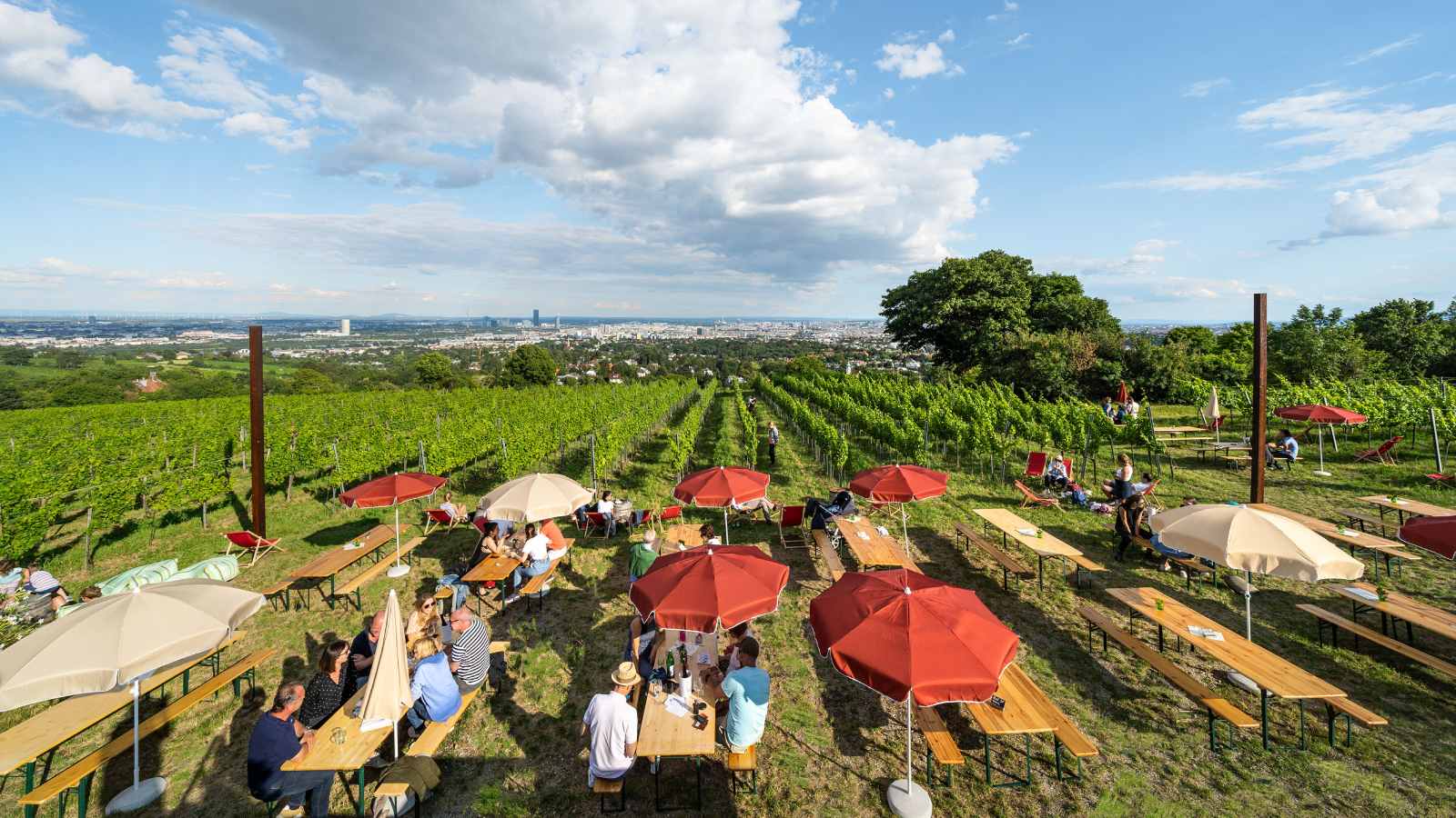 La otra Viena: días de vino y estrellas Michelin entre viñedos